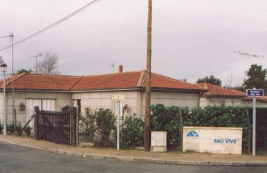3121.jpg