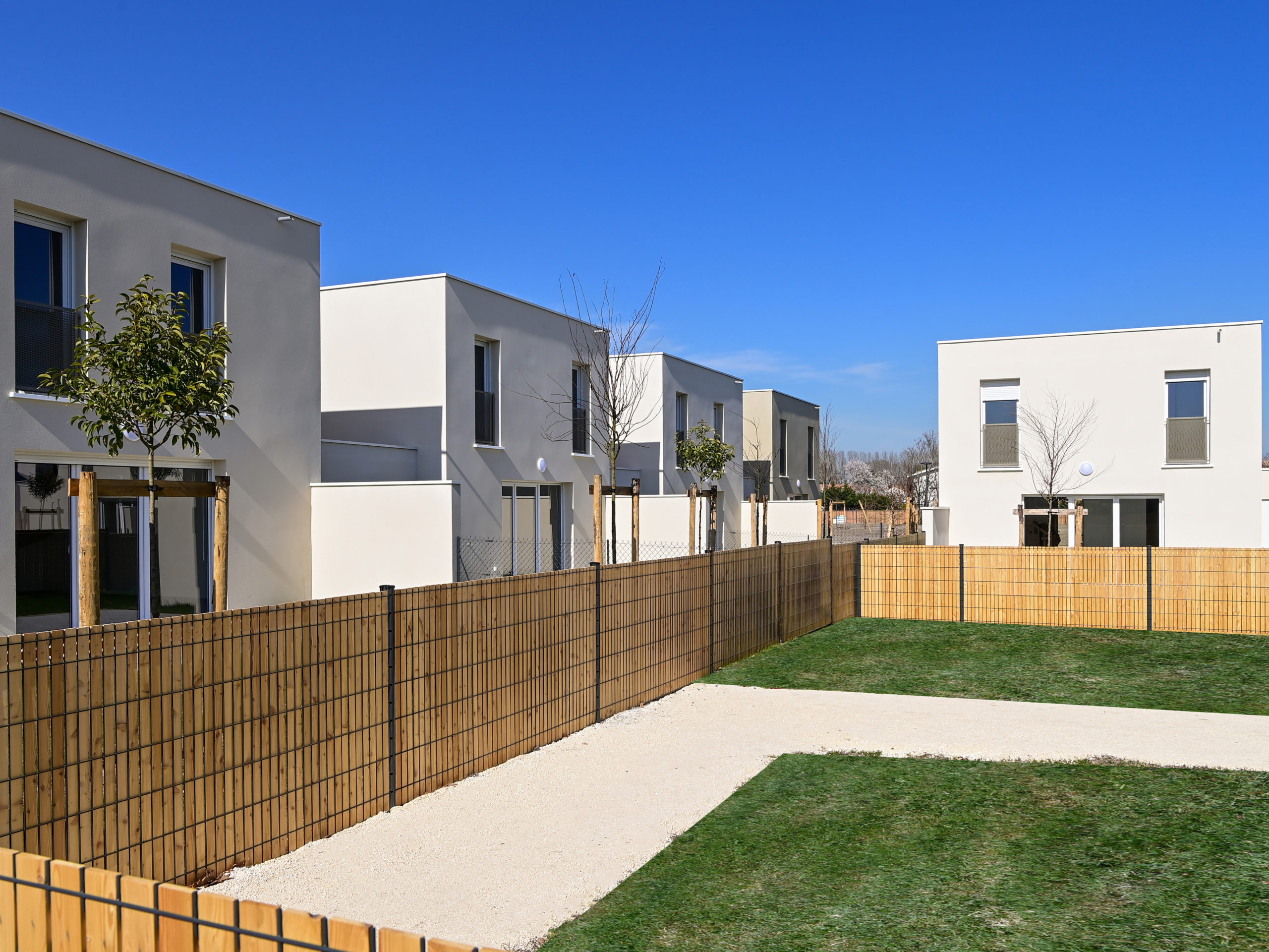 Rue des écoles
