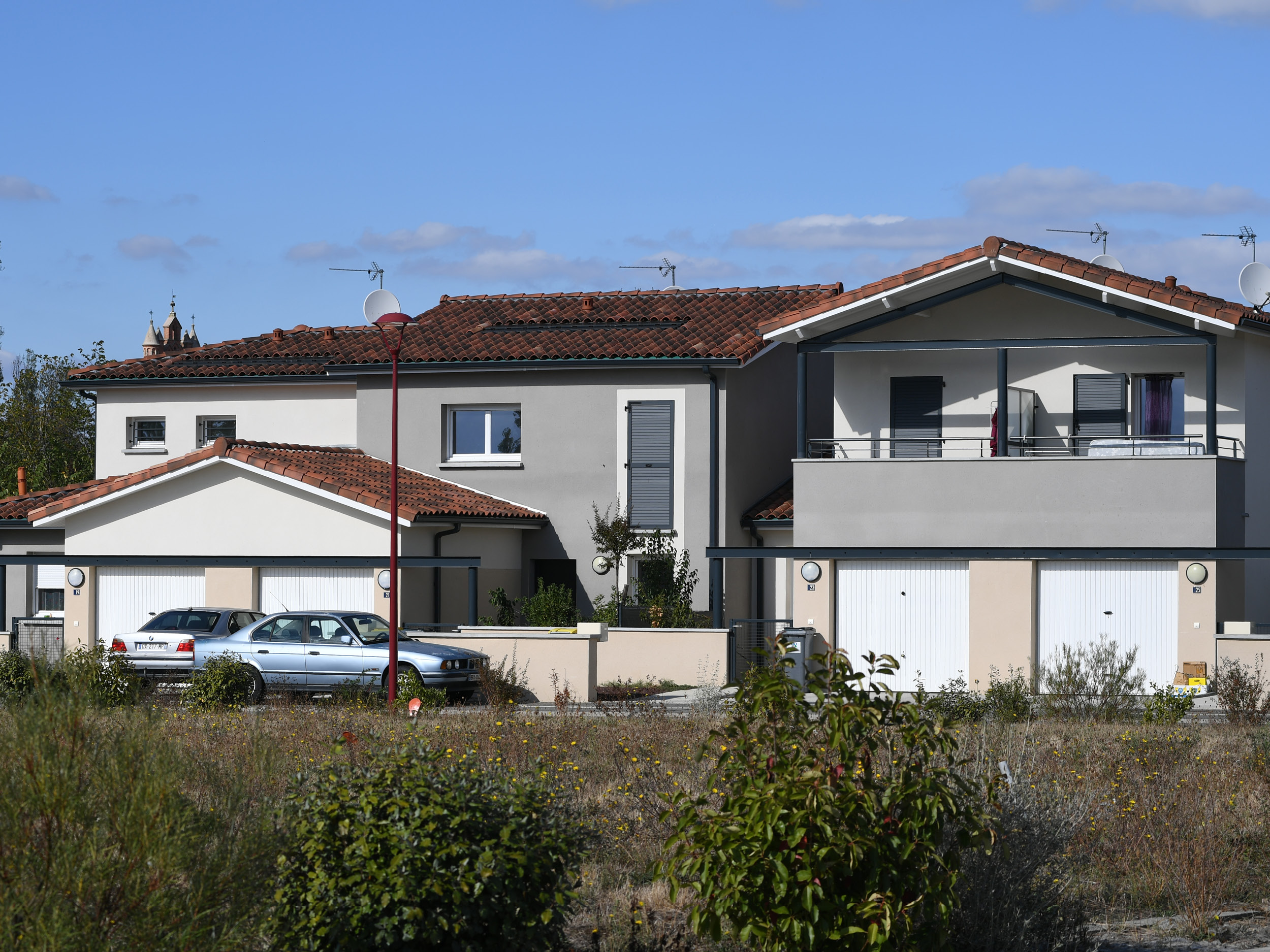Gardelia