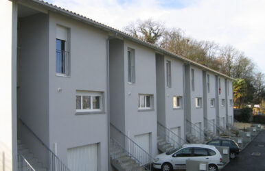 Cèdres