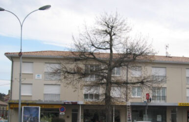 Gascogne
