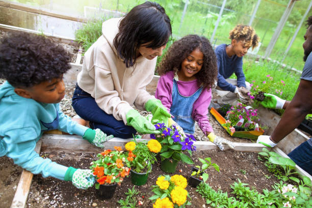 African American family with three kids working at community garden greenery